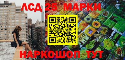Альфа ПВП Моздок