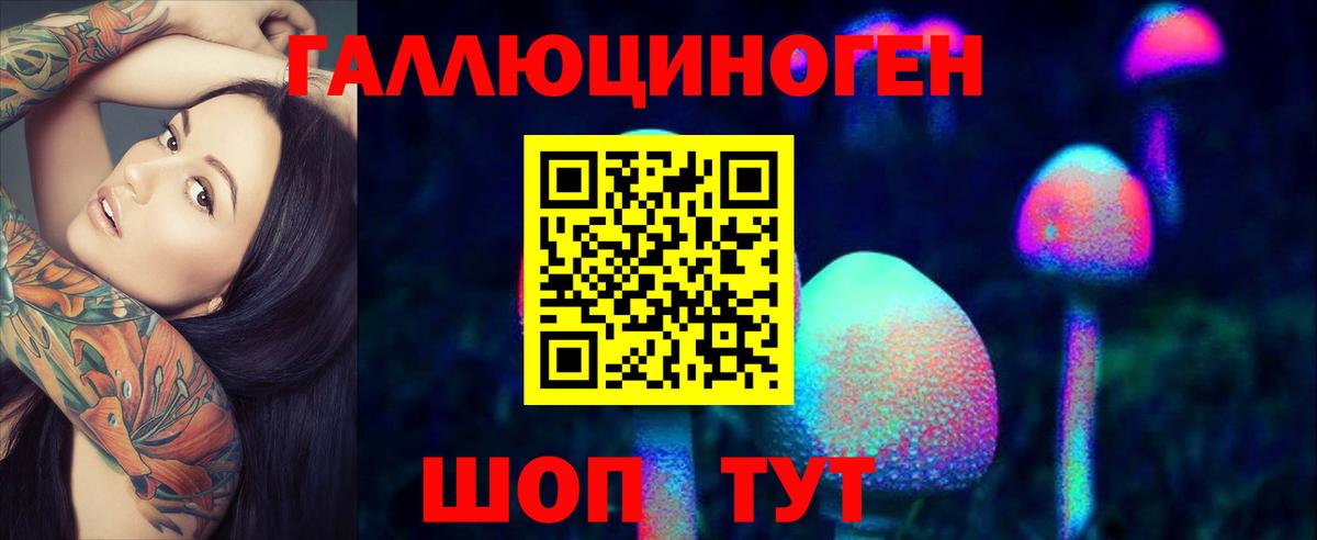 Дятьково  где продают наркотики  Вход с VPN  Псилоцибиновые грибы Cubensis 